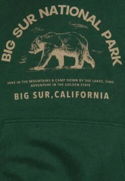 Pier One Sweatshirt - Dark Green -Berühmtes Bekleidungs Geschäft 98f45f14fc32419d9ff9d39a6bc94089