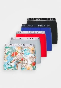 Pier One 5 PACK - Panties - Black/red/light Blue -Berühmtes Bekleidungs Geschäft a98897e57c8d47b7b55c29b01d1c9606